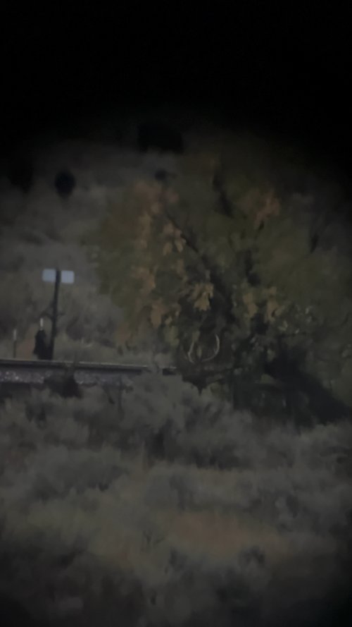 49C1C9BC-E000-4990-9282-E6AD08A1017B.jpeg 49C1C9BC-E000-4990-9282-E6AD08A1017B.jpeg