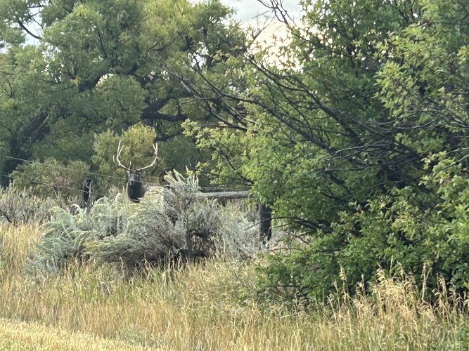 IMG_9361.jpeg IMG_9361.jpeg