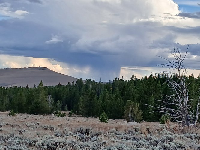 20250928_172239.jpg