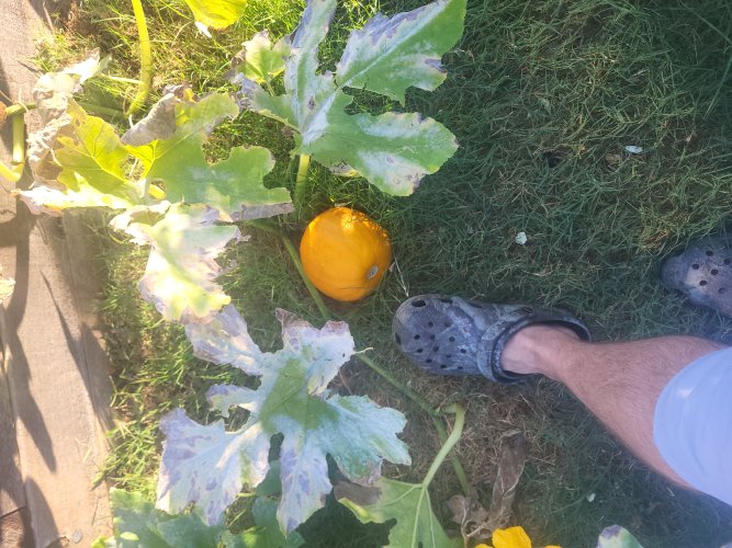 20251006_084649.jpg 20251006_084649.jpg