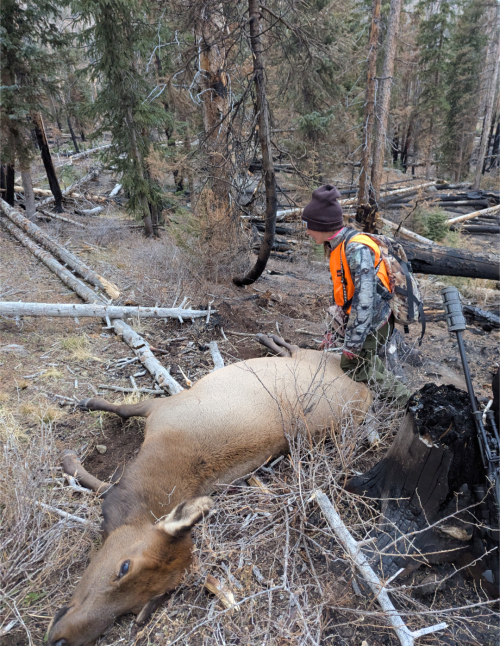 Screenshot_20251006-160344.png Screenshot_20251006-160344.png