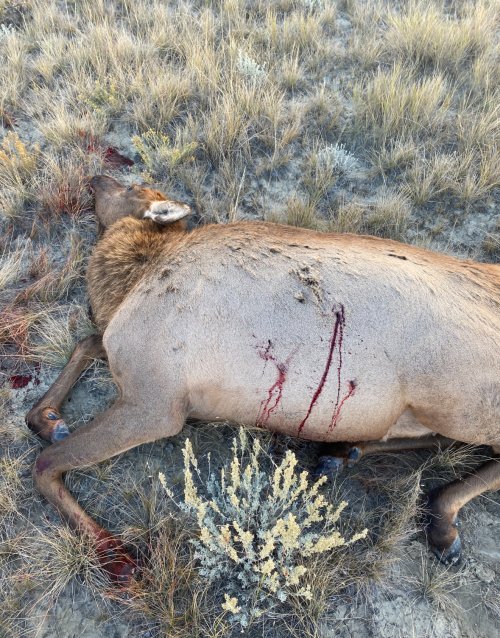 IMG_0070.jpeg IMG_0070.jpeg