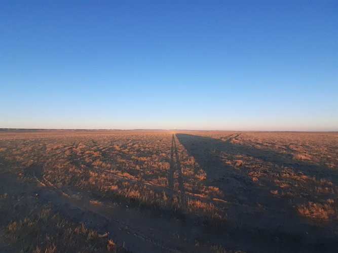 20251006_182917.jpg