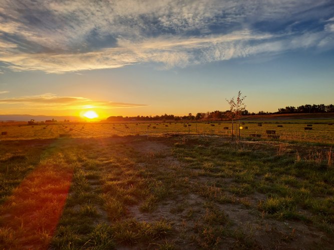 20251003_072519.jpg 20251003_072519.jpg