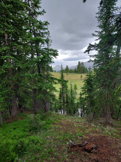 20250720_151600.jpg 20250720_151600.jpg