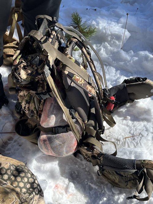 IMG_5567.jpeg IMG_5567.jpeg