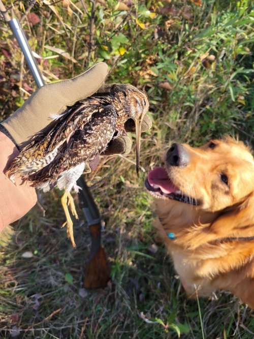 20251007_091319.jpg 20251007_091319.jpg