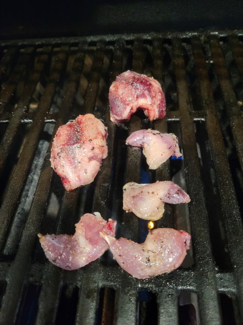 20251007_190530.jpg 20251007_190530.jpg