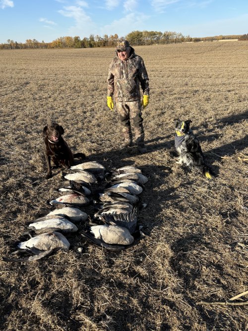 IMG_3772.jpeg IMG_3772.jpeg