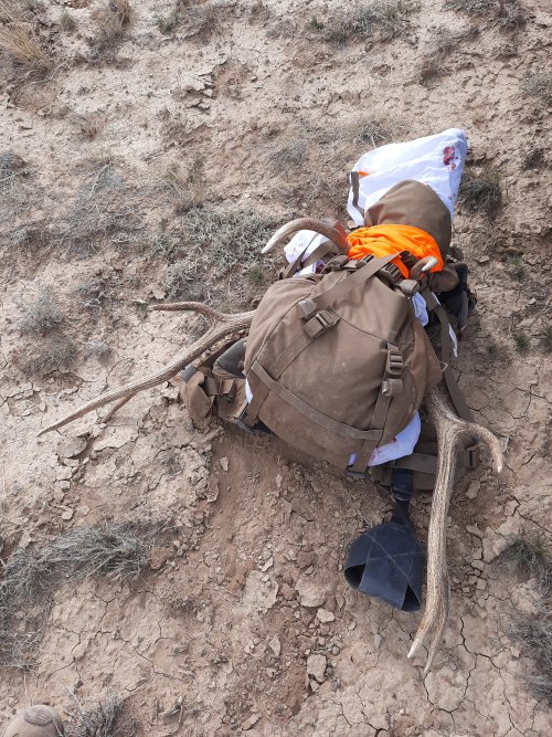 20221022_120453.jpg 20221022_120453.jpg