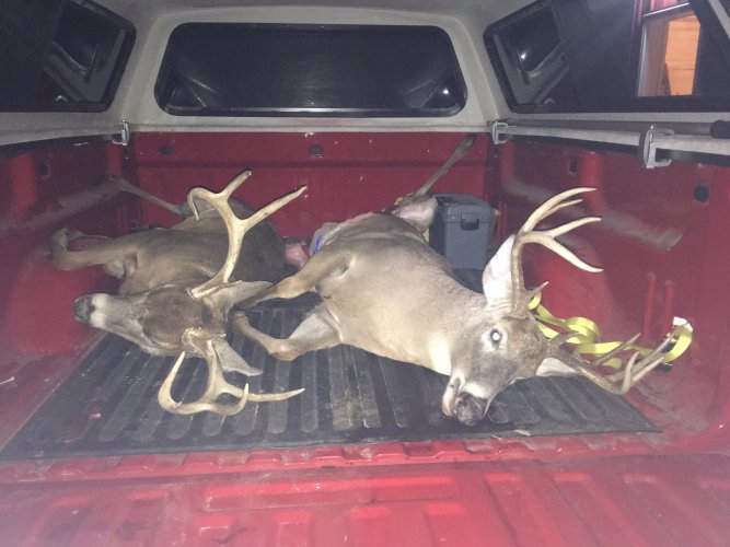 Dec 28 2016 014 - Copy.JPG