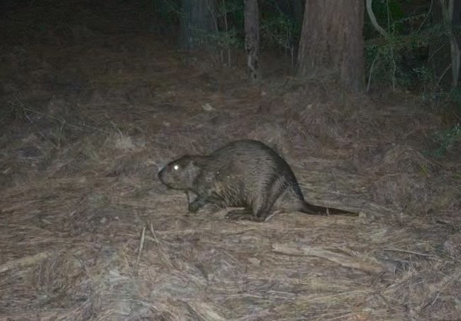 IMG_5116.jpg IMG_5116.jpg