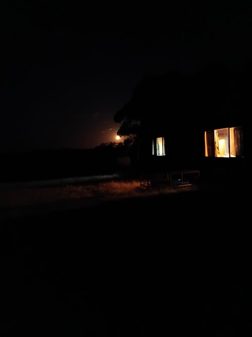 20251009_223232.jpg