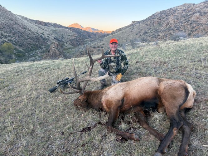 IMG_0038.jpeg IMG_0038.jpeg