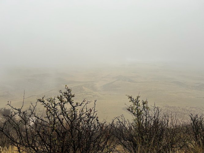 WhatsApp Image 2025-10-06 at 5.00.18 PM.jpeg WhatsApp Image 2025-10-06 at 5.00.18 PM.jpeg