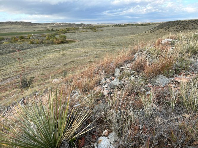 WhatsApp Image 2025-10-06 at 5.00.18 PM(1).jpeg WhatsApp Image 2025-10-06 at 5.00.18 PM(1).jpeg