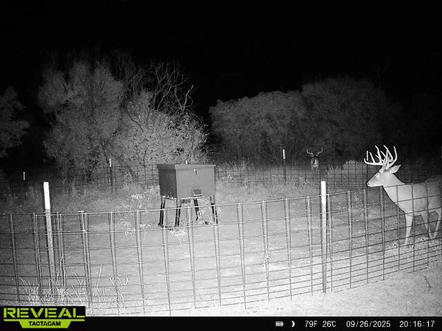 865814048823361-100-1-09262025201616-W1013415.jpeg 865814048823361-100-1-09262025201616-W1013415.jpeg