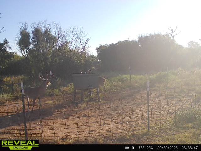 865814048823361-100-2-09302025083846-W1014043.jpeg 865814048823361-100-2-09302025083846-W1014043.jpeg