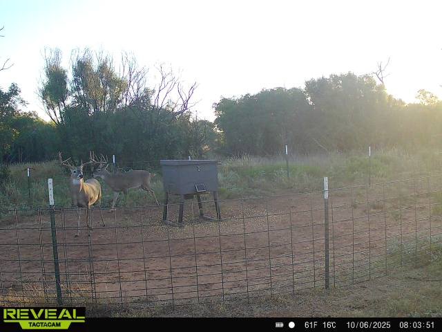 865814048823361-100-1-10062025080350-W1016243.jpeg 865814048823361-100-1-10062025080350-W1016243.jpeg