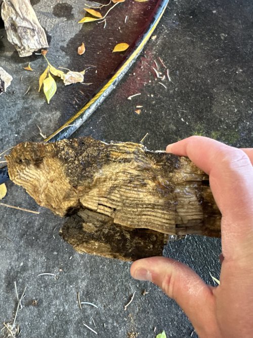 IMG_2573.jpeg IMG_2573.jpeg