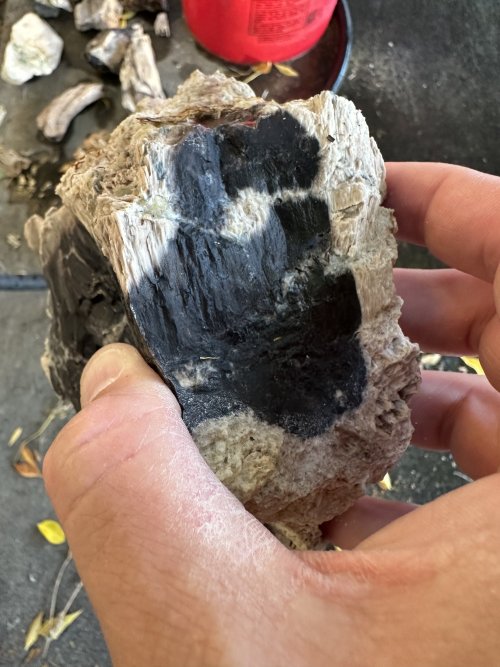 IMG_2575.jpeg IMG_2575.jpeg