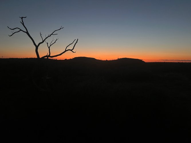 IMG_3015.jpeg IMG_3015.jpeg