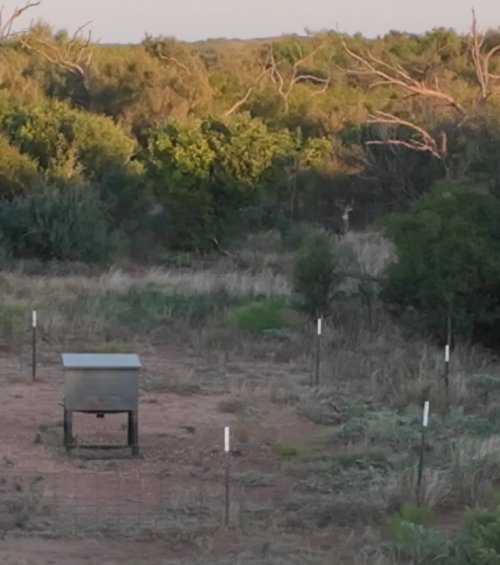 IMG_3018.jpeg IMG_3018.jpeg