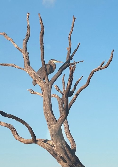 IMG_3038.jpeg IMG_3038.jpeg