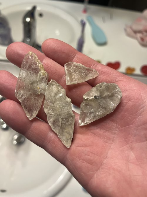 IMG_2038.jpeg IMG_2038.jpeg