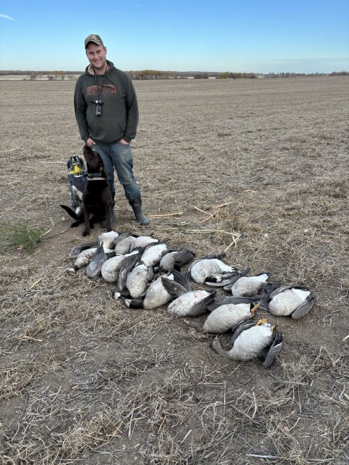 IMG_3778.jpeg IMG_3778.jpeg