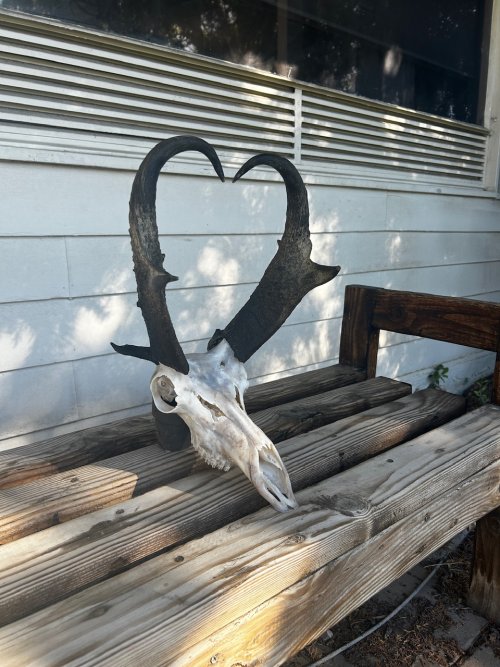 IMG_1722.jpeg IMG_1722.jpeg