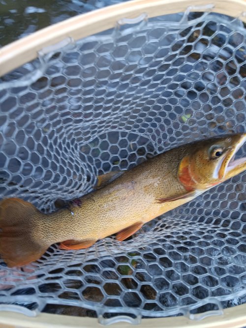 1000003529.jpg 1000003529.jpg