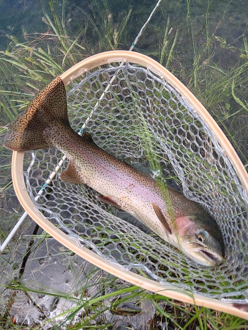 1000003252.jpg 1000003252.jpg