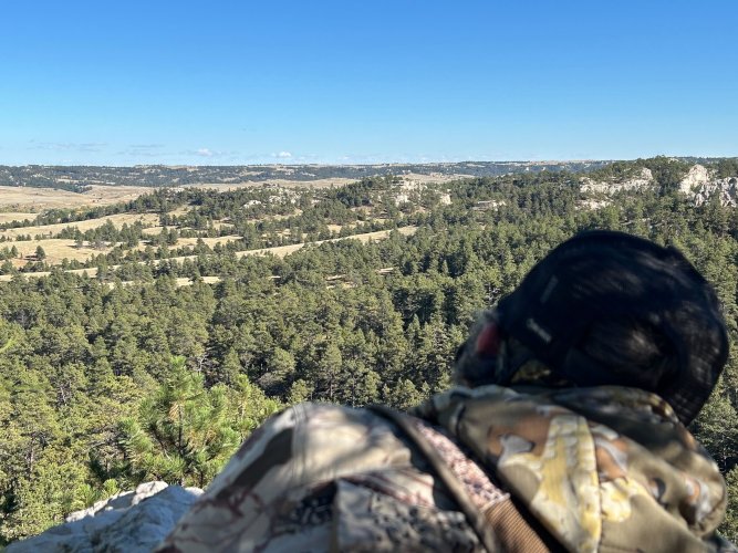 IMG_9405.jpg IMG_9405.jpg