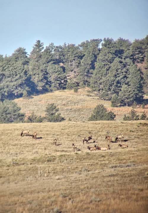 1000009701.jpg 1000009701.jpg