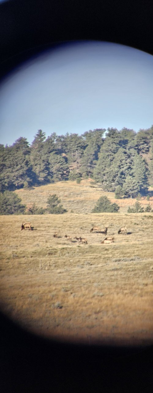 1000009702.jpg 1000009702.jpg