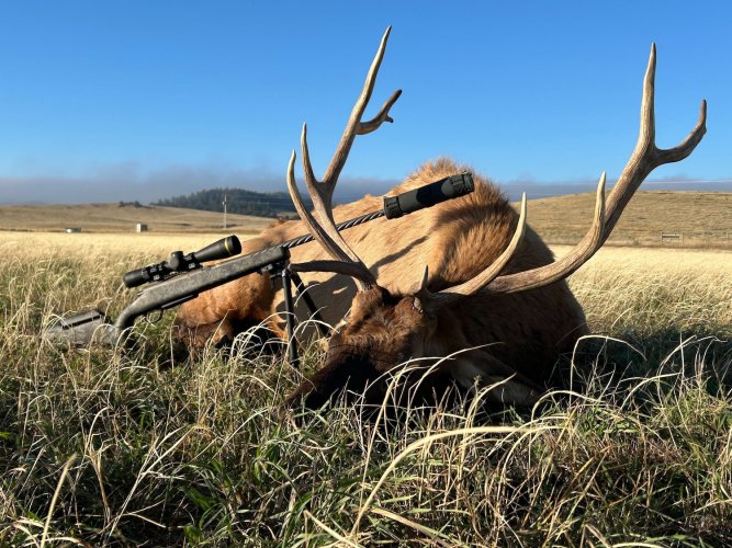 IMG_9415 (1).jpg IMG_9415 (1).jpg