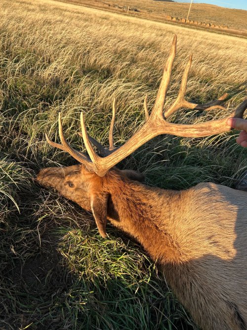 IMG_9406.jpg IMG_9406.jpg