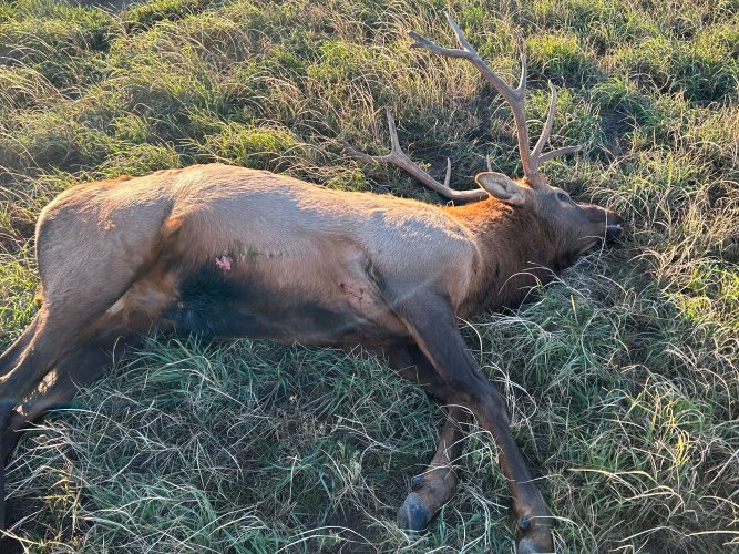 IMG_9408.jpg IMG_9408.jpg