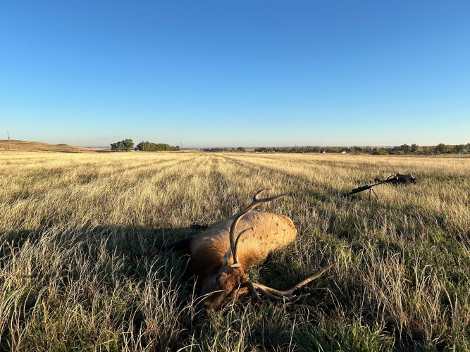 IMG_9410.jpg IMG_9410.jpg