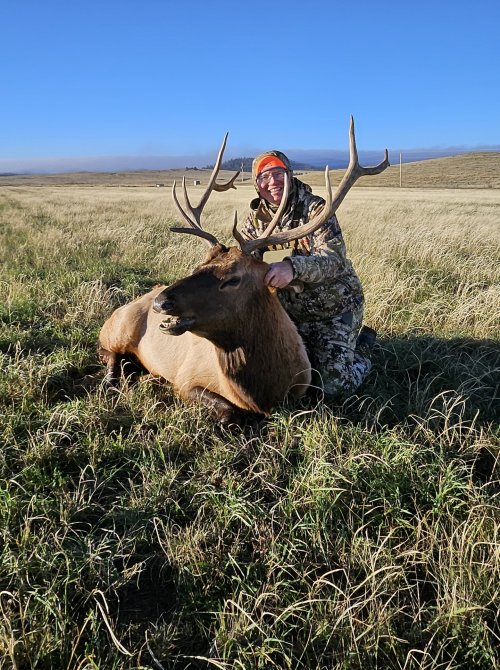 1000009720.jpg 1000009720.jpg