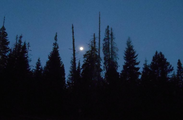 full moon.JPG