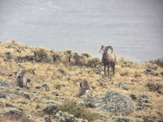 20251011_112953.jpg 20251011_112953.jpg