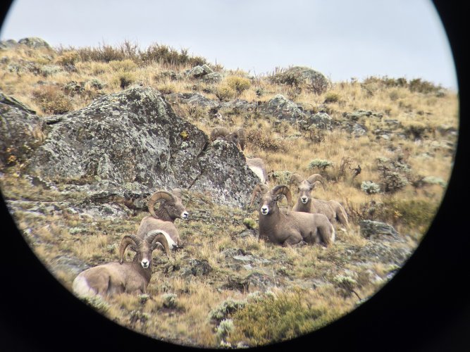 20251011_120639.jpg 20251011_120639.jpg