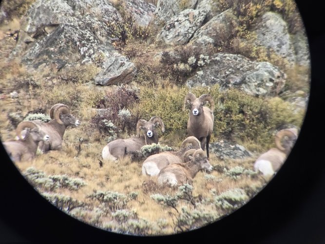 20251011_120706.jpg 20251011_120706.jpg