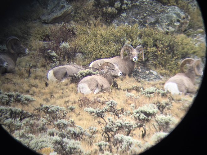 20251011_115732.jpg 20251011_115732.jpg