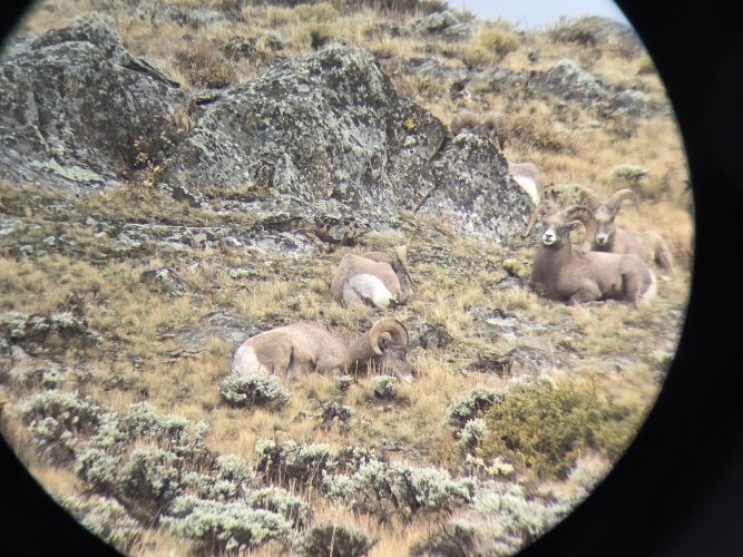 20251011_121105.jpg 20251011_121105.jpg