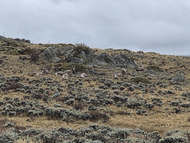 20251011_115921.jpg 20251011_115921.jpg