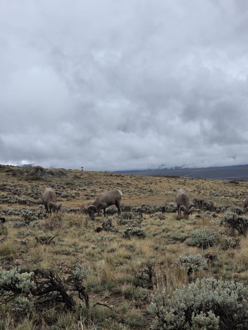 20251011_123229.jpg 20251011_123229.jpg