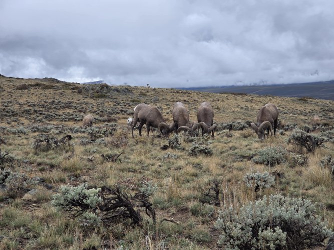 20251011_123315.jpg 20251011_123315.jpg